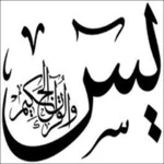 holy quran - sourate yaseen android application logo